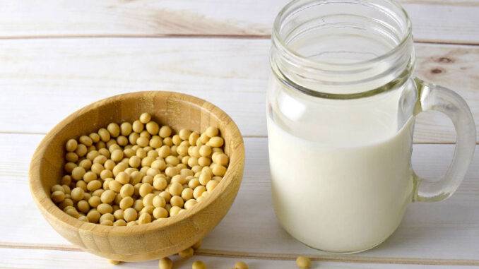 Non-dairy kefir for vegans
