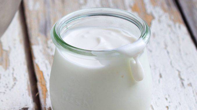 Probiotic properties or kefir Probiotic properties or kefir