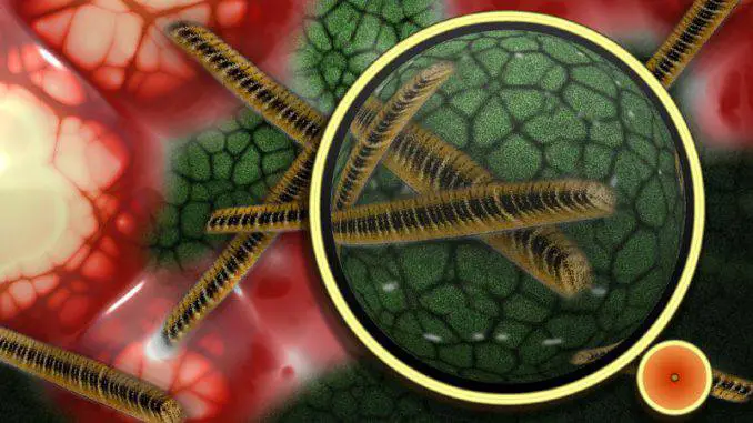 Microbiome and microbiota Microbiome and microbiota