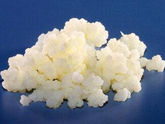 How to store kefir grains