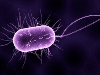 What are probiotics and how do they work?