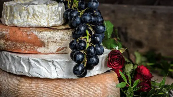 Fermented dairy products Fermented dairy products