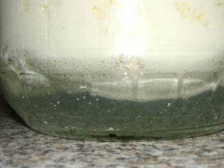 Why Kefir separates?