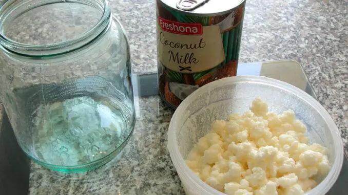 How to make coconut milk kefir? How to make coconut milk kefir?