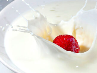 Is Kefir lactose free?