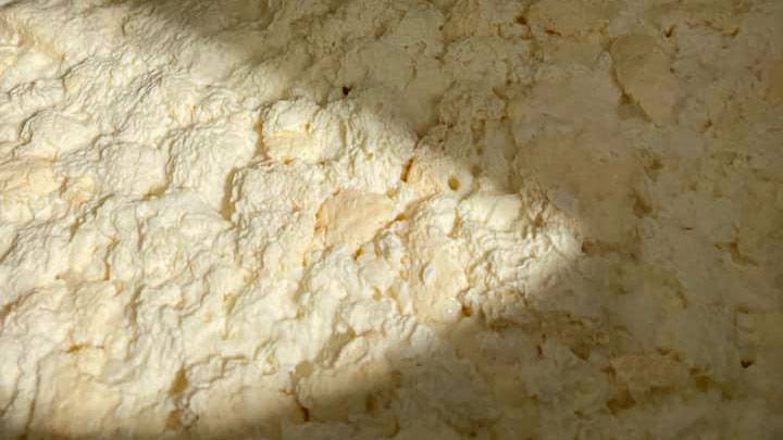 Dried kefir grains could form molds