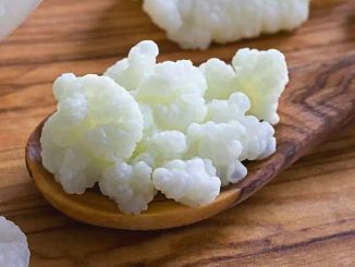 Can Kefir grains be eaten?