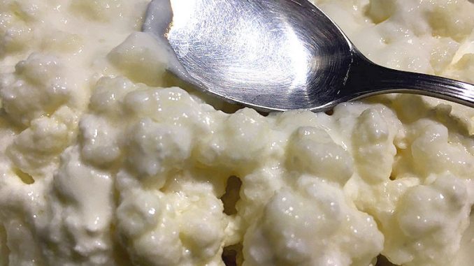 Kefiran - The "slimy part" of Kefir