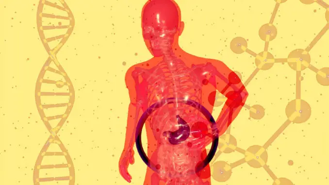 Are probiotics destroyed by gastric acid? Are probiotics destroyed by gastric acid?