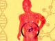 Are probiotics destroyed by gastric acid?