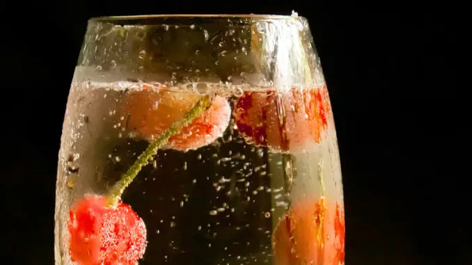 Water kefir or kombucha?