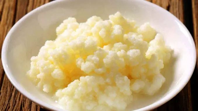Kefir-Grains The Ultimate Guide to Preparing High-Quality Milk Kefir