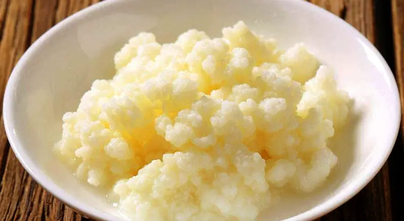 The Ultimate Guide to Preparing High-Quality Milk Kefir